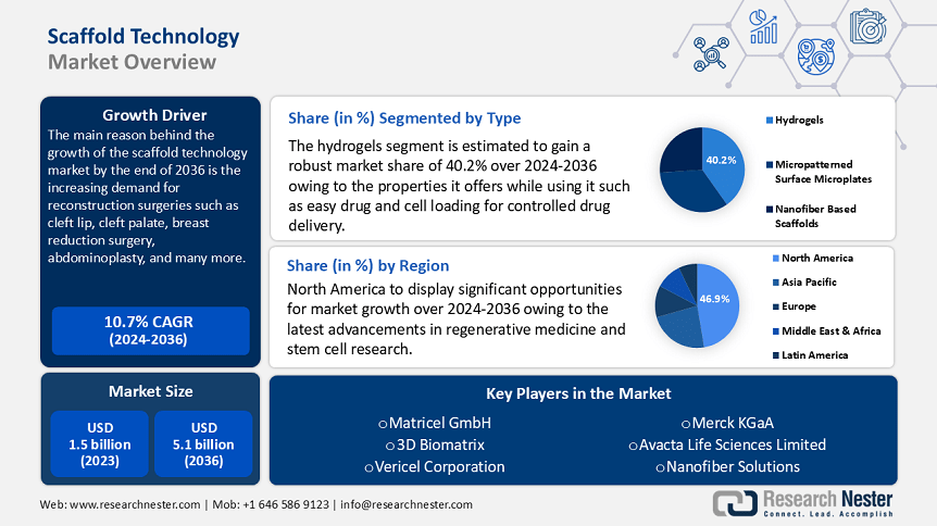 Scaffold Technology Market